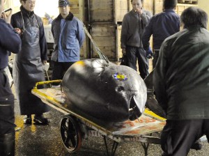 Japan Pricey Tuna