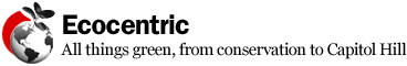 Ecocentric