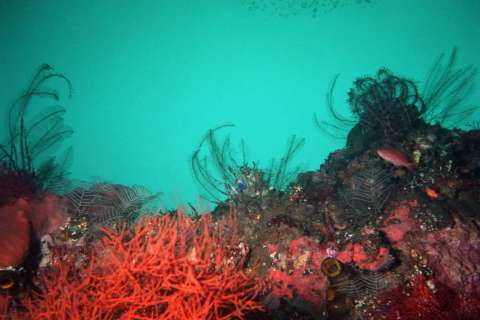 131031-oceans-climate-change