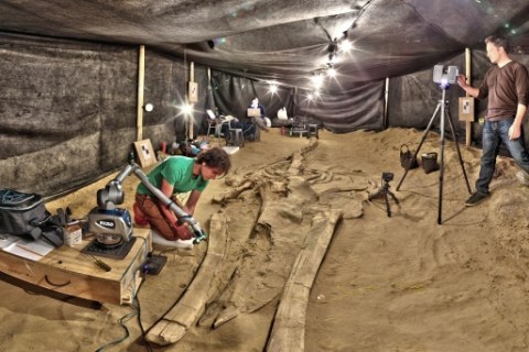 From left: Adam Metallo and Vince Rossi from the Smithsonian's Digitization Program Office 3-D Lab a use high-resolution laser arm and medium-range laser scanners to document one of the most complete fossil whales from the Cerro Ballena site in 2011.